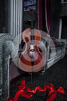 Cello and red ribbon  on grey couch