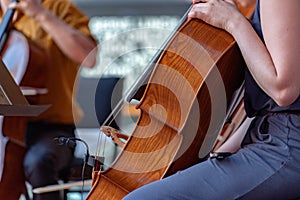 Cello street player woman performer