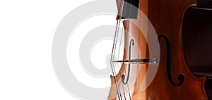 Cello closeup on white background