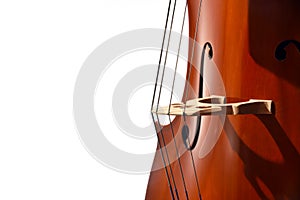 Cello strings closeup on white background