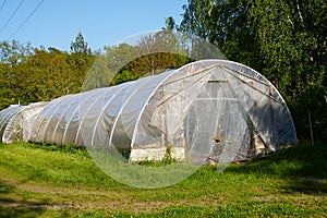 A cellophane covered greenhouse with a green grass in the foreground.