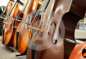 The Cellos img