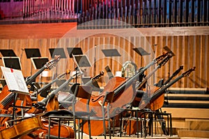 Cellos and Double bass lying on the floor