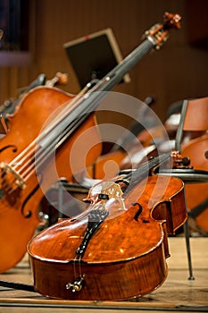 Cellos and Double bass lying on the floor