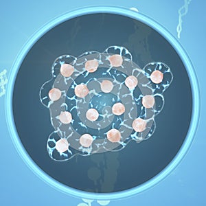 Cells Growing In A Tissue Culture Petri Dish