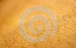 Cells on human skin close-up view. Human skin background. Medicine pattern. Caucasian skin color
