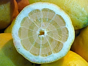 Cells of a lemon in the foreground