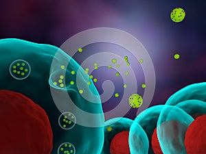 Cells releasing exosomes