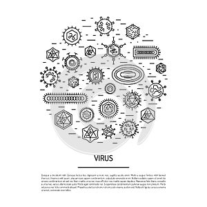 Cells of viruses and bacteria