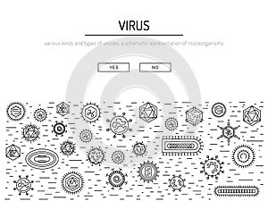 Cells of viruses and bacteria