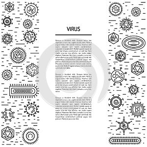 Cells of viruses and bacteria
