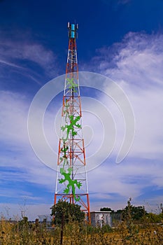 Cellular antenna with artistic crawling lizards near the village of Ein Iron Israel