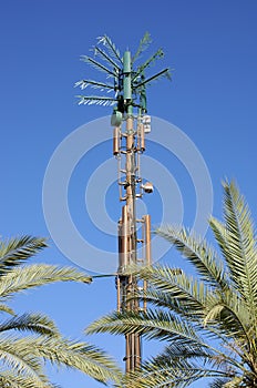 Cellular antenna disguised as a palm tree