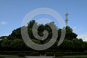 Cellular antenna in the green park