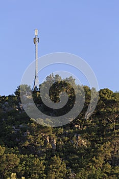 Cellular mast and trees