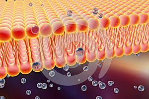 Cellular membrane with diffusion of molecules