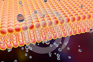 Cellular membrane with diffusion of molecules