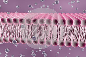 Cellular membrane with diffusion of molecules