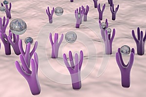 Cellular membrane with receptors