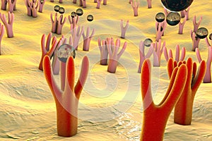 Cellular membrane with receptors