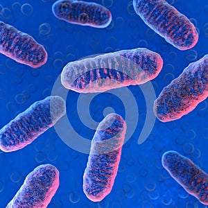 Cellular organelle mitochondria. photo