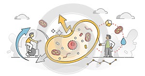 Cellular respiration as metabolic chemical energy ATP cycle outline concept photo