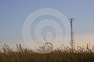 Cellular telecom tower photo