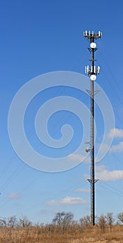 Cellular telephone tower