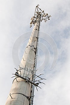 Cellular tower