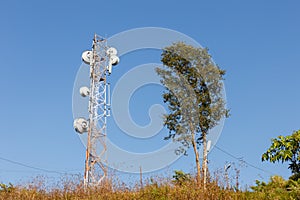 Cellular tower and tree against the blue sky photo