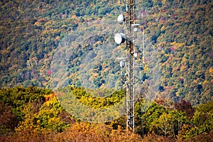 Cellular transmitting tower mounter in the forst hill at fall