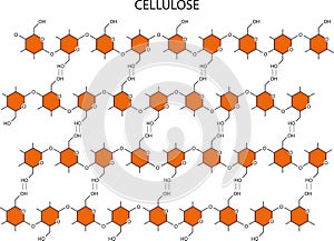 Cellulose