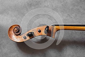 Celo of violine photo