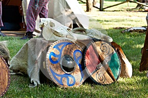 Celtic Armory Camp with Bone Skulls and Wooden Shields on Fur Ma