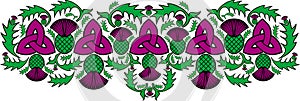 Celtic border with flowers of the thistle