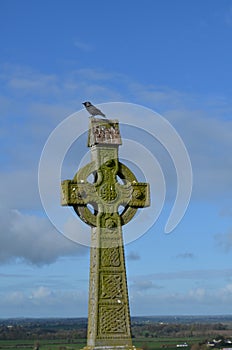 Celtic Cross with a Bird on the Top