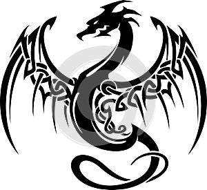 Keltský drak krídla tetovanie 