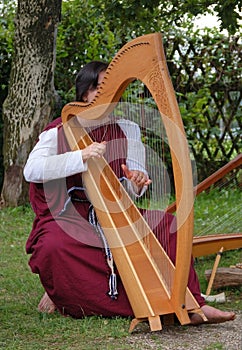 Keltský harfa 