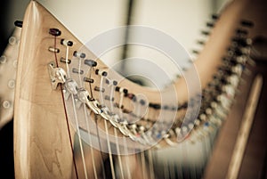 Celtic Harp detail