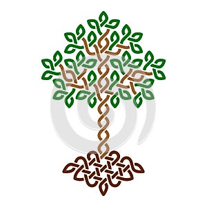 Celtic Tree of Life, simple green weaved ornament