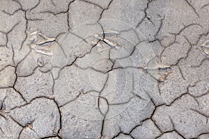 Cement background. A close-up of cracked, old, light gray cement texture. Scratched wall or road material. Copy space.