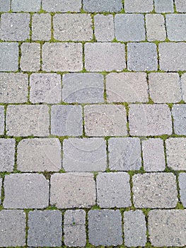 Cement block floor with grass in between