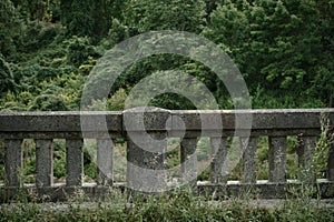 Bridge that is in the middle of a lush forest on lost road