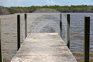 Cement Doc on Everglades Lake