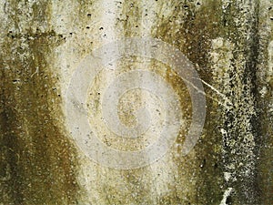 Cement floor texture background. Black and white dots pattern