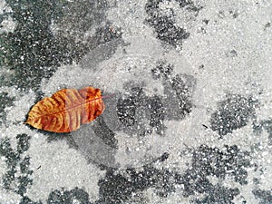 Cement floor texture background. Black and white dots pattern