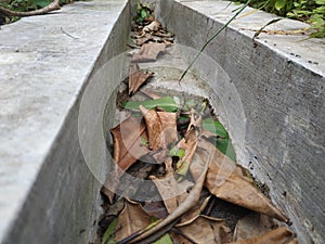 Water gutter with scattered dry leaves photo