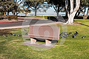 Cement Park Bench at Chula Vista Bayfront Park photo