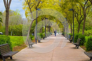 Cement path in an urban park with trees on the sides