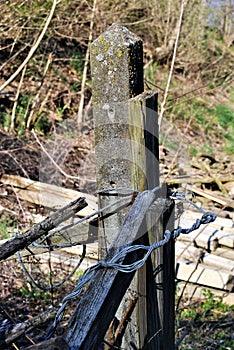 Cement post